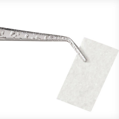 Membrane dental graft ptfe membrane dental